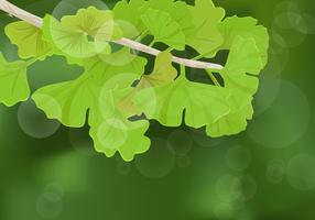 Ginkgo Leaves Background vector