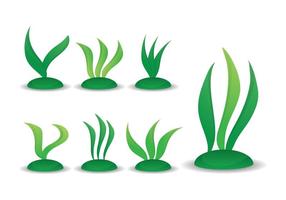 Seaweed vector set