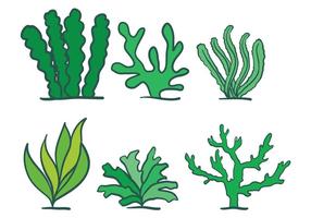 Seaweed vector set