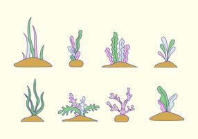 Seaweed Vector