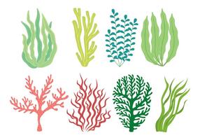 Sea Weed Icon Set vector