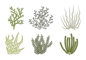 Sea Weed Vector Icon