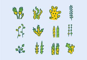 Plantas marinas y algas marinas vector