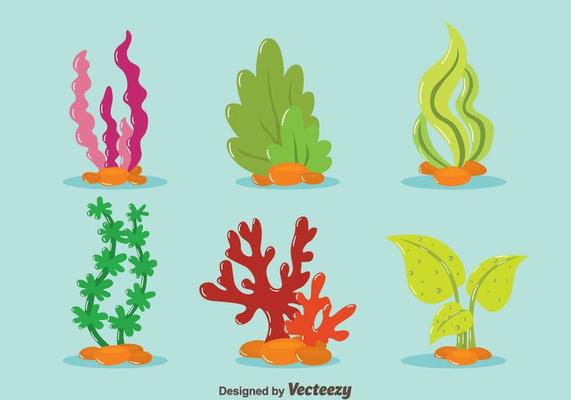 Nice Sea Weed Collection Vector