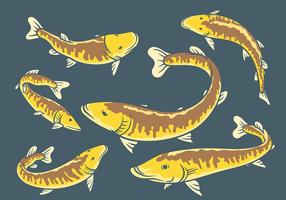 Iconos de vector de Muskie