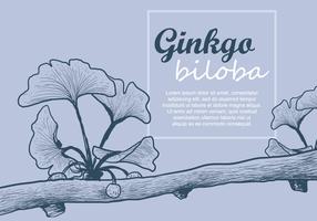 Ginkgo rama y el vector de frutas