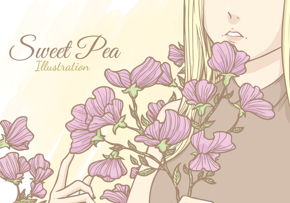 Sweet Pea Vector Illustration
