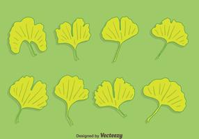 Colección de hoja de Ginkgo Vector