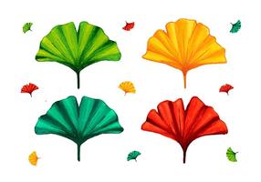 Different Color Ginkgo Leaf vector