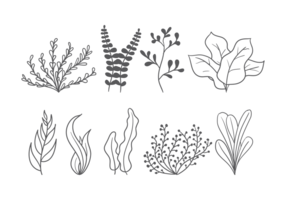 Iconos del vector de la mala hierba del mar