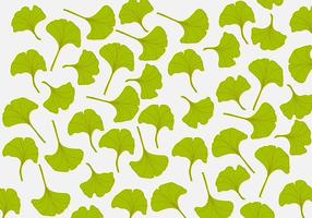 Ginkgo Leaf Background  vector