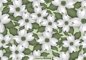 Vector Seamless Pattern Of Dogwood Blossom Motif