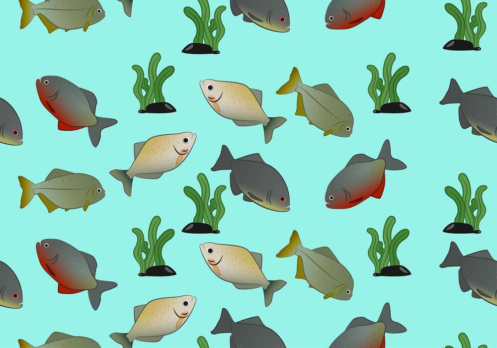 Fishing Pattern Vector Art, Icons, and Graphics for Free Download
