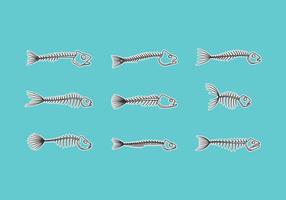 Fish Skeletal Vector