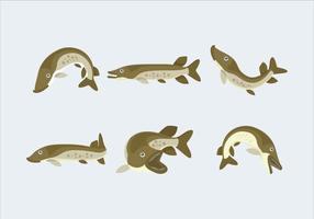 Wild Green Muskie Fish Vector Flat Illustration