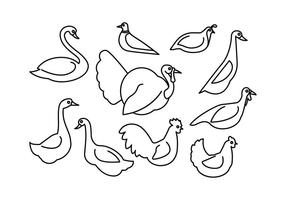 Free Poultry Line Icon Vector