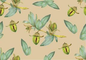 Jojoba Seamless Pattern Vector