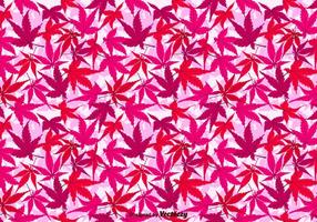 Japanese Maple Vector Background