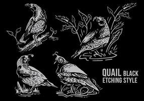 Quail Black Etching Style vector