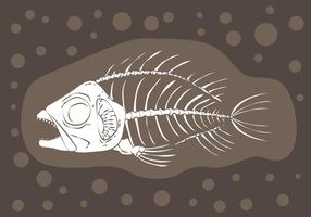 Fishbone Fossil Vector 