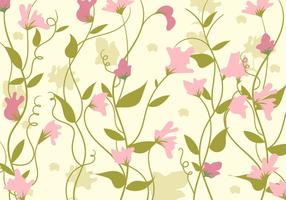 Sweet Pea Flower Background Template vector