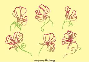 Sweet Pea Flowers Collection Vector