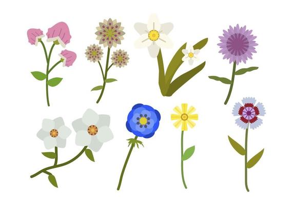 Flat Flower Vectors