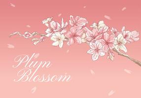 Plum Blossom Hand Drawing Vector