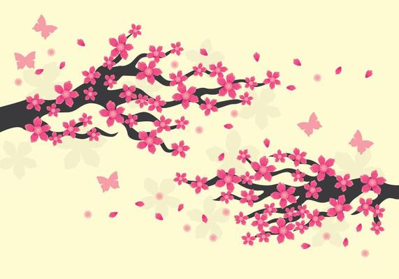 Plum Blossom Illustration