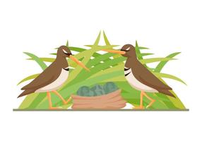 Free Outstanding Snipe Bird Vectors