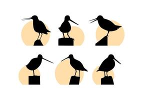 Free Outstanding Snipe Bird Vectors