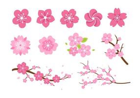 Pink Flower Blossom Vectors