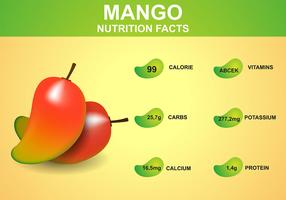 Datos nutricionales del mango vector