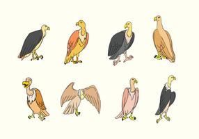 Buzzard Bird Vector