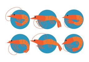 Prawns vector set