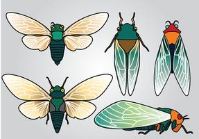 Cicada Vector Pack