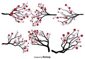 Japanese Plum Blossom Vector Set