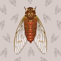 Cicada Hand Drawn Illustration With Pattern Background vector