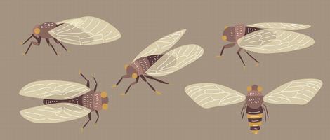 Cicada Insect Vector Flat Illustration