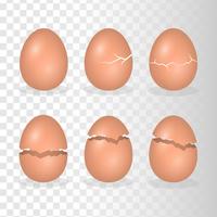 Huevos con la ilustración del efecto de crack vector