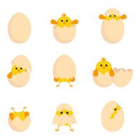 Colección de huevos rotos gratis vector