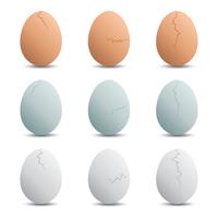 Cracked Egg Vectors