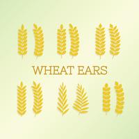 Vector de orejas de trigo gratis