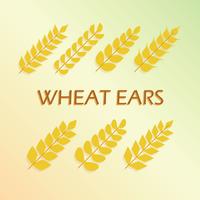 Free Wheat Ears Vector