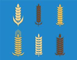 Wheat ears vector set