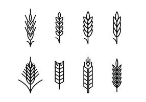 Wheat ears set icons