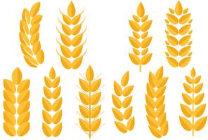 Free Wheat 2 Vectors