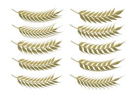 Set de orejas de trigo