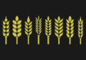 Conjunto de icono de orejas de trigo vector