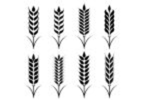 Set Of Wheat Ears Icon vector